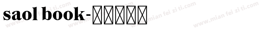 saol book字体转换